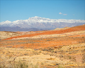 Enlarge photo 93