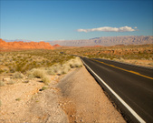 Enlarge photo 94