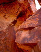 Enlarge photo 105