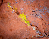 Enlarge photo 108