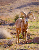 Enlarge photo 110