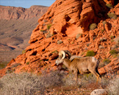 Enlarge photo 136