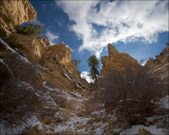 Enlarge photo 12
