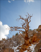 Enlarge photo 37