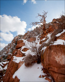 Enlarge photo 38