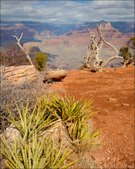 Enlarge photo 40