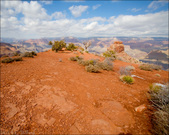 Enlarge photo 41