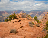 Enlarge photo 42