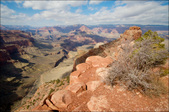 Enlarge photo 45