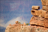 Enlarge photo 53