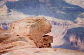 Enlarge photo 55