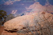Enlarge photo 56