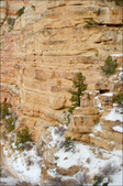Enlarge photo 67