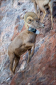 Enlarge photo 36