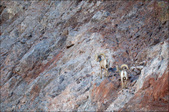 Enlarge photo 37