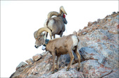 Enlarge photo 38