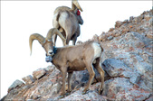 Enlarge photo 39