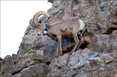 Enlarge photo 40
