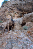 Enlarge photo 41