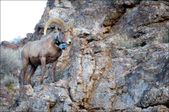 Enlarge photo 42