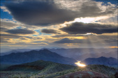 Enlarge photo 47