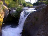 Enlarge photo 41
