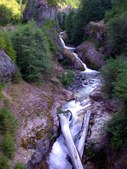 Enlarge photo 50