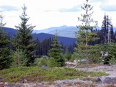 Enlarge photo 33