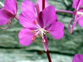 Enlarge photo 35