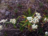 Enlarge photo 37