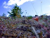 Enlarge photo 38
