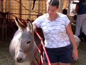 Enlarge photo 19