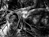 Enlarge photo 53