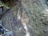 Enlarge photo 54