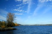 Enlarge photo 41