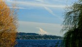 Enlarge photo 42