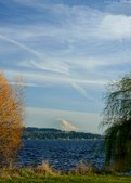Enlarge photo 43