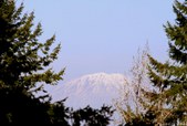 Enlarge photo 47