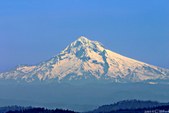 Enlarge photo 48