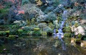 Enlarge photo 54