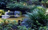 Enlarge photo 58