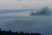 Enlarge photo 66