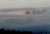 Enlarge photo 68