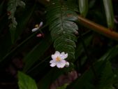 Enlarge photo 30