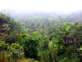 Enlarge photo 31