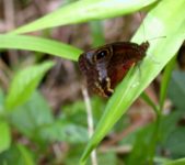 Enlarge photo 34