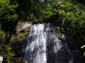 Enlarge photo 42