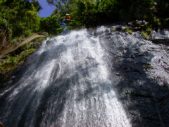 Enlarge photo 43