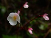 Enlarge photo 46