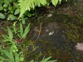 Enlarge photo 49
